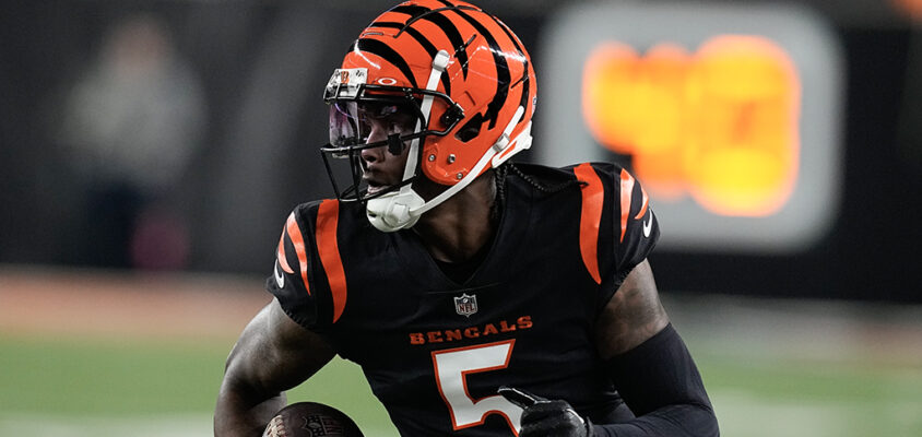 Cincinnati Bengals WR Tee Higgins